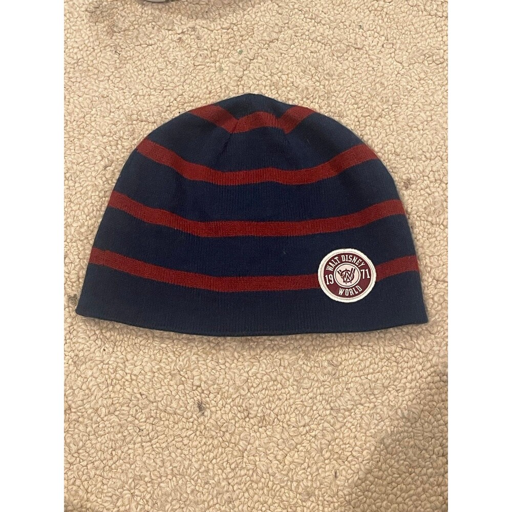 Disney World beanie never worn